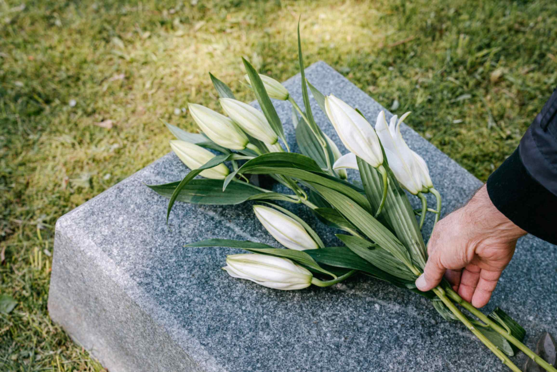 Apbedīšanas birojs piedāvā plašu sēru ziedu izvēli bērēm un kremācijai